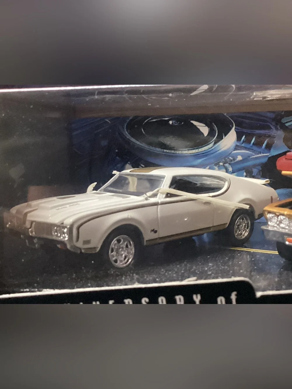 Hot Wheels 30th anniversary limited edition '69 Muscle CarSet - Silver Gold Pair